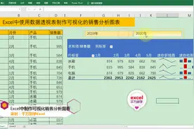 Excel中使用数据透视表制作可视化销售分析图表，简单到没朋友！视频封面