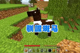 我的世界开心乐园02：驯服一匹斑马，没马鞍我也要骑一会儿视频封面