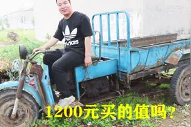 农村小伙花1200元买辆二手旧三轮车，媳妇直呼这车买的太不值当？视频封面