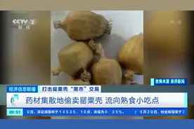 央视曝光罂粟壳黑市交易 偷卖的罂粟壳或流向熟食小吃点视频封面
