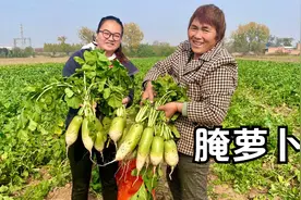 又到一年腌菜季，拔一些萝卜，教大家简单的腌萝卜方法！视频封面