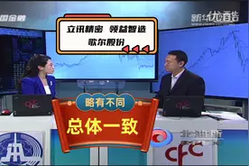 立讯精密，领益智造，歌尔股份——整齐划一，但略有不同视频封面
