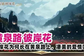 彼岸花为何长在黄泉路上，是什么样的一段凄美故事。视频封面