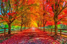 舒缓轻音乐——装点此关山，今朝更好看。（毛泽东）