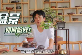 什么是盆景?如何更好的去做好盆景？关于做盆景的思想！视频封面