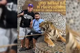 在泰国花钱和老虎合影，差点变成人生最后一张合影视频封面