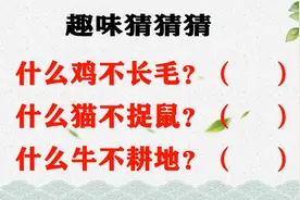 智商测试题：什么鸡不长毛？什么猫不捉鼠？什么牛不耕地？视频封面