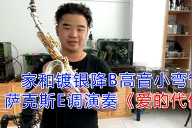 萨克斯一首《爱的代价》感人至深，优美旋律听的大男人潸然泪下视频封面