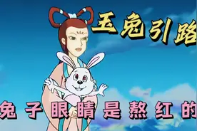 兔子的红眼睛原来是这样来的视频封面