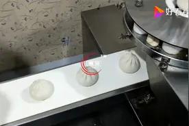全自动包子机所生产的每个包子重量精确 可随意换馅视频封面