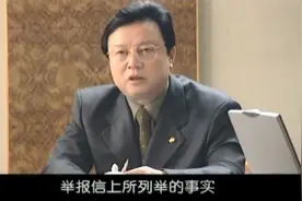 九大罪证，封匿名信举报好市长，局长一查有猫腻视频封面