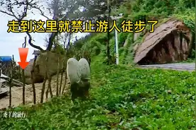 60后夫妻三亚过冬，蜈支洲岛游玩不坐光观电车很多景点徒步不了。
