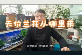 兰花为啥这么贵，有没有物美价廉的兰花品种吗？视频最后有惊喜视频封面
