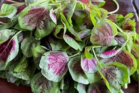 苋菜到底要不要焯水，大厨教你正确做法，鲜嫩味美，营养不流失视频封面