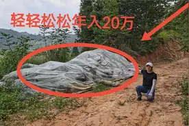 农村偏门暴利行业，0成本轻轻松松收入20万，给全村人带来帮助视频封面