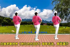 经典金曲欣赏《粉红色的回忆》多甜蜜多甜蜜，总是不能忘记你
