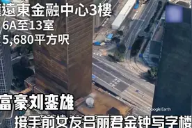 香港富豪刘銮雄，接手前女友吕丽君金钟写字楼，帮她周转还债视频封面