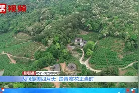 踏青赏花正当时！福建各地各类花朵竞相开放，花繁树茂春意盎然视频封面