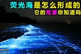 荧光海是怎么形成的？它的危害你知道吗？视频封面