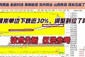 陕西黑猫 金能科技 美锦能源 兖州煤业 山西焦煤 煤炭见底了吗？视频封面