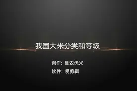 我国大米分类和等级视频封面