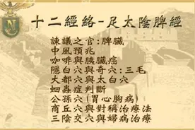 人纪-《针灸13-字幕版》-倪海厦（DVD原版）视频封面