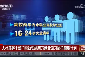 人社部等十部门启动实施百万就业见习岗位募集计划视频封面