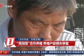 【“合作养鱼”回报在哪？】“高回报”养殖 养殖户却损失惨重视频封面