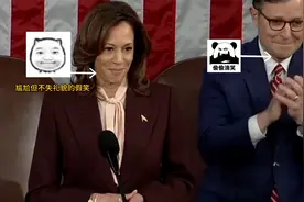 哈里斯宣布特朗普胜选，共和党人狂欢，她却尴尬成“假笑”表情包视频封面
