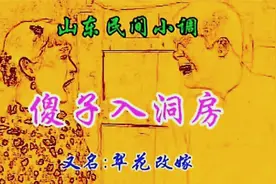 沂蒙小调（傻子入洞房 又名翠花改嫁）全集