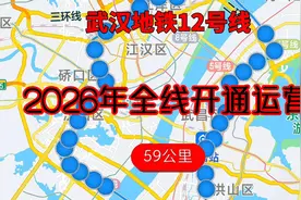 武汉地铁12号线，全长59.876千米，37个站点，2026年全线开通运营