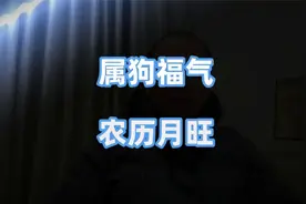属狗人出生在这几个农历月，晚年福气挡不住视频封面