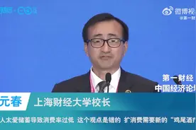 刘元春称储蓄率高导致消费率低是错的视频封面