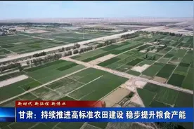 甘肃：持续推进高标准农田建设  稳步提升粮食产能