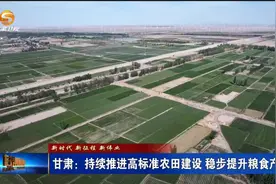甘肃：持续推进高标准农田建设  稳步提升粮食产能
