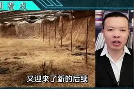 3名初中生杀人埋尸新后续，两次挖坑早有预谋，不是活埋没有帮凶视频封面