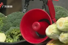 广州有商铺“大声公”噪音扰民 执法队加强劝导管控视频封面