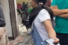女孩卖狗崽赚学费狗妈妈趁机叼走 网友：母爱真的很伟大视频封面