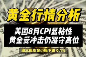 现货金微跌但仍居高位：多因素影响下的行情分析视频封面
