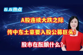 A股连续大跌之际，传中东土豪要入股公募巨头！股市在酝酿什么？视频封面