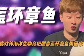 博主喜欢养海洋生物，竟把蓝环章鱼带回家，无意间救了一桌陌生人视频封面