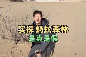 马云的蚂蚁森林是真是假？实地走访一探虚实，你们种的树都还在吗视频封面