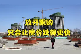 放开限购只会让房价跌得更快，所有的管制都是一把双刃剑视频封面
