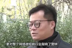 这部火爆微短剧严重违规全网下架，制作公司被约谈并暂停更新一周视频封面