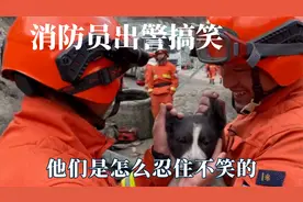 消防员出警搞笑瞬间，消防员遇二师兄挡路，他们是怎么忍住不笑的
