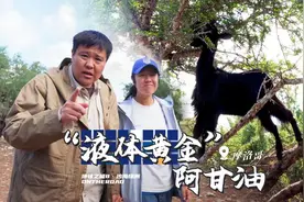 山羊能上树？究竟是骗局还是真的？@东南卫视视频封面
