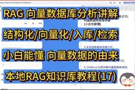 DeepSeek本地RAG知识库(17): 向量数据库原理讲解 (小白也能懂)视频封面