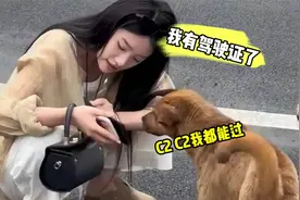 女：我有驾驶证了 狗：C2我也能过