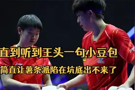 直到听到王头一句小豆包，简直让薯条派陷在坑底出不来了