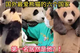 国外最爱熊猫的六个国视频封面